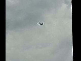 V&iacute_deo de verificaci&oacute_n